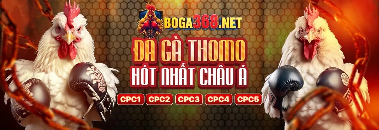 Đánh giá chi tiết awin68 - Nhà cái uy tín với sảnh cược hiện đại