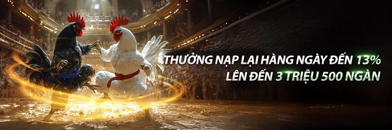 Đấu trường đá gà sòng bài trực tuyến hấp dẫn tại awin68